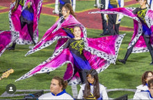 Load image into Gallery viewer, 9 hot pink royal robe wings
