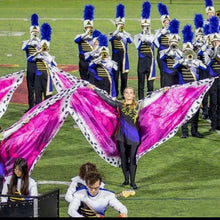 Load image into Gallery viewer, 9 hot pink royal robe wings
